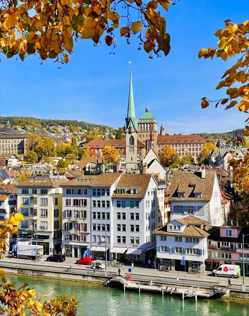 纽约州立大学石溪分校